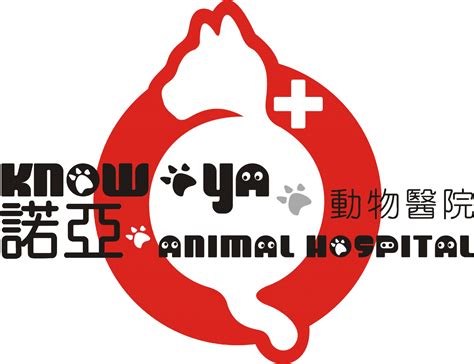 台南 24 小時 動物 醫院